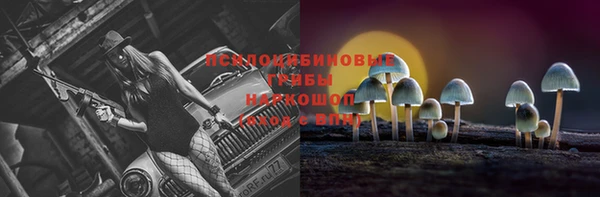 мяу мяу мука Богданович