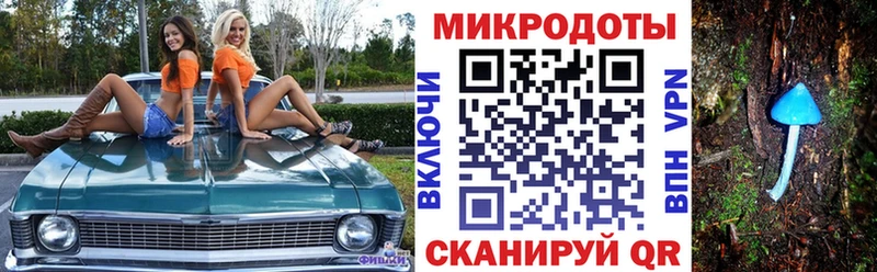 даркнет официальный сайт  Северск  Галлюциногенные грибы прущие грибы 